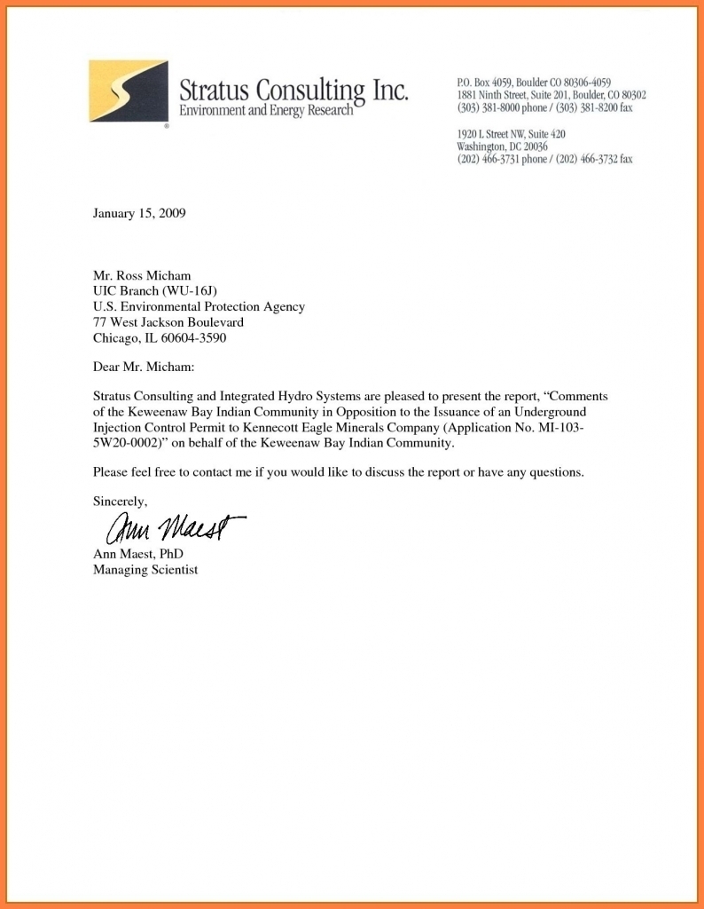 Professional Letter Heading Template Examples Letter Cover Templates