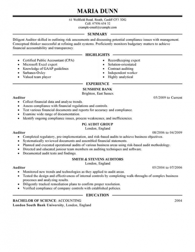 Financial Resume Example