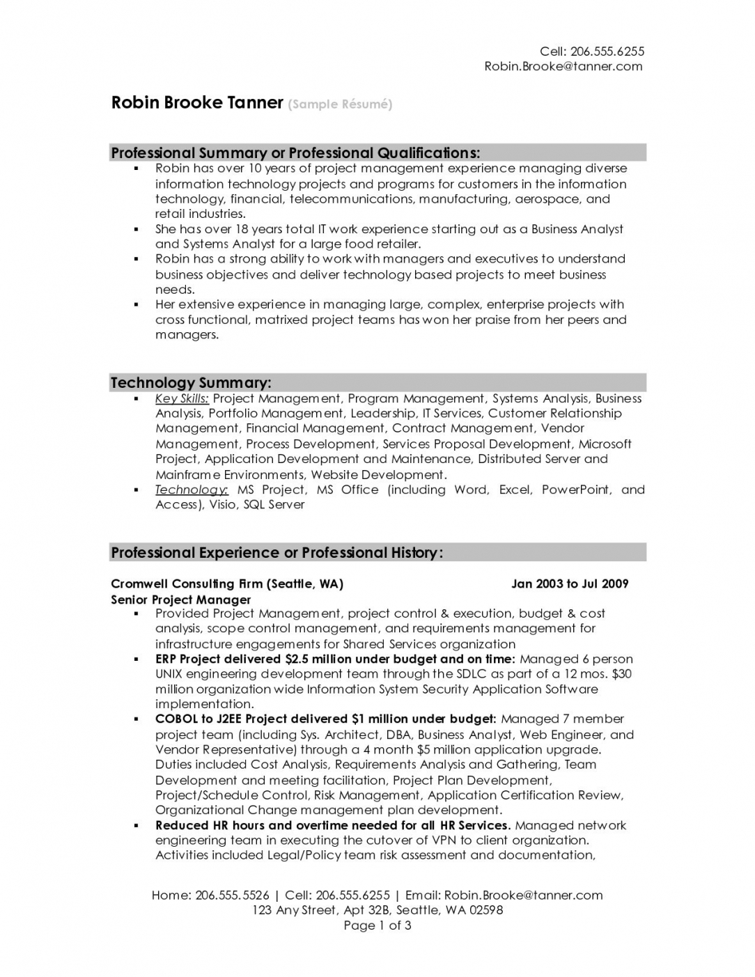 Example Of A Professional Summary On A Resume