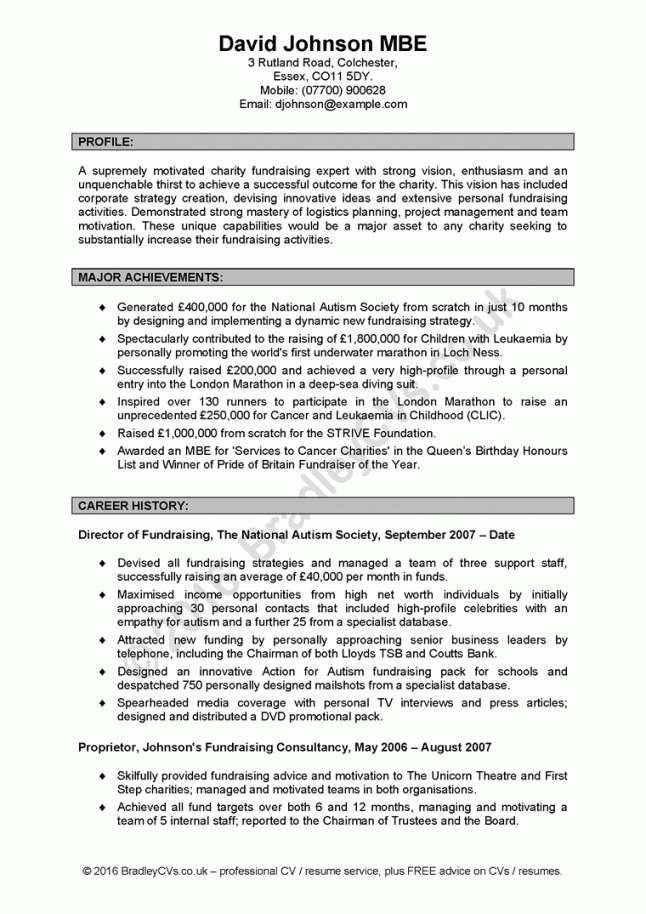 Resume Personal Statement Examples