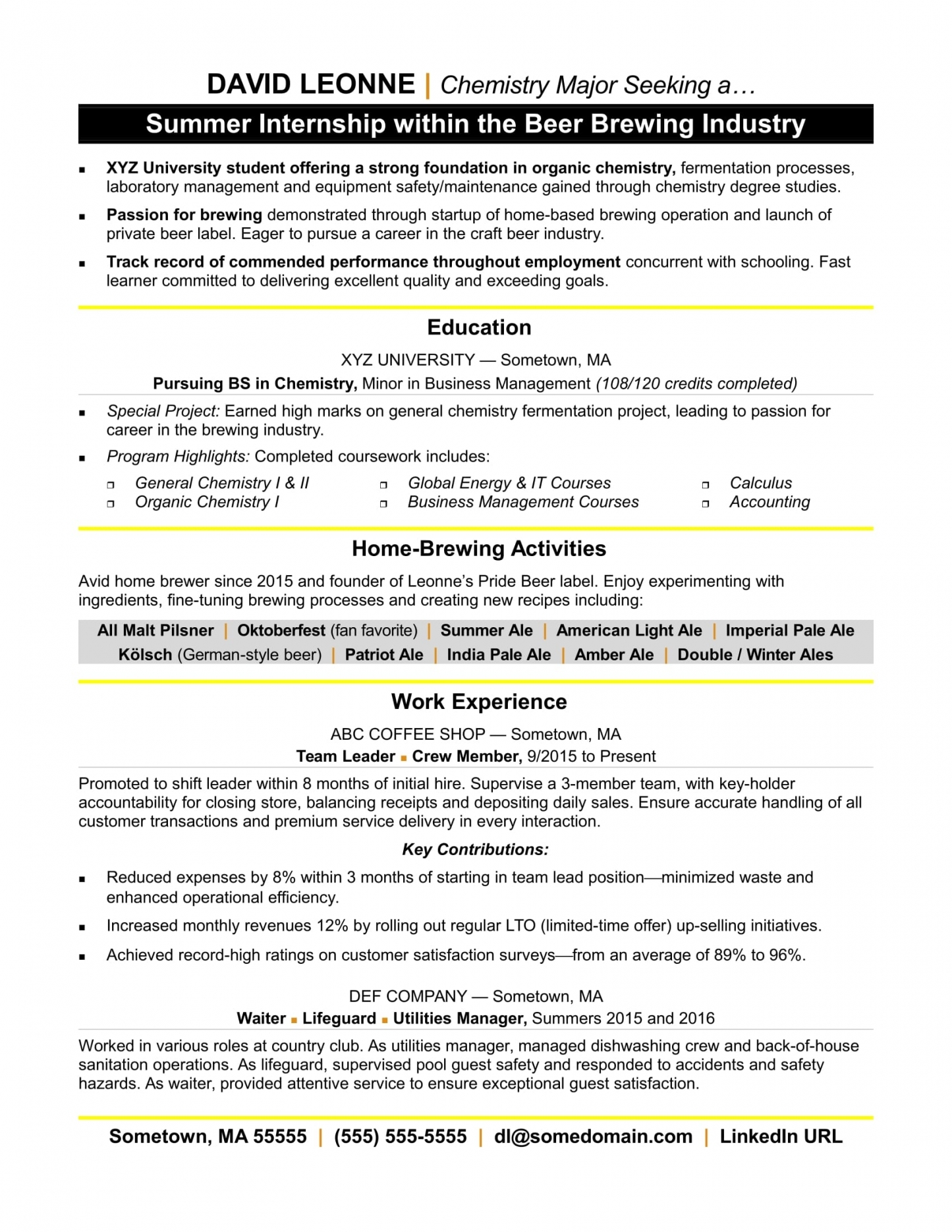 Intern Resume Example