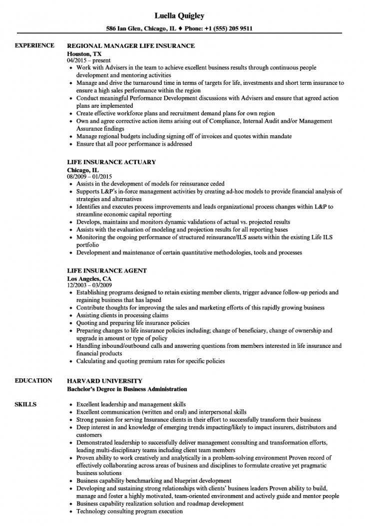 Insurance Resume Example