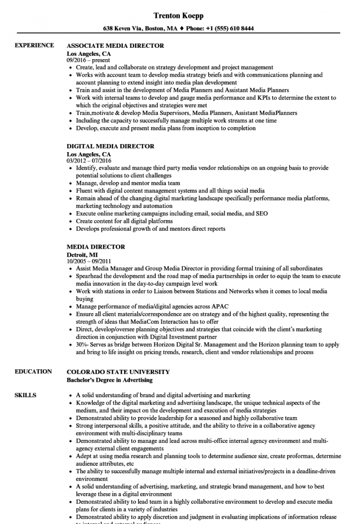 Director Resume Examples