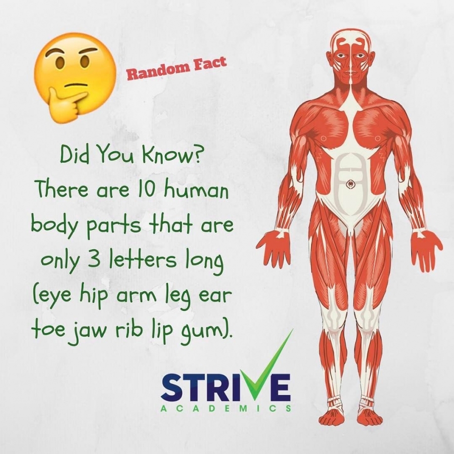 10 Body Parts 3 Letters