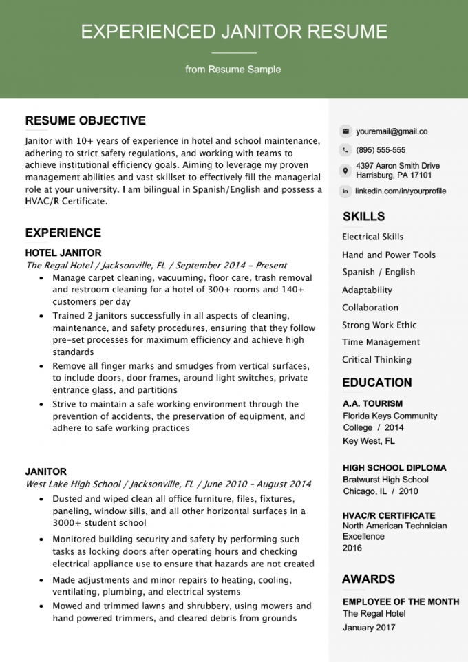 Professional Experience Resume Example  Free Letter Templates