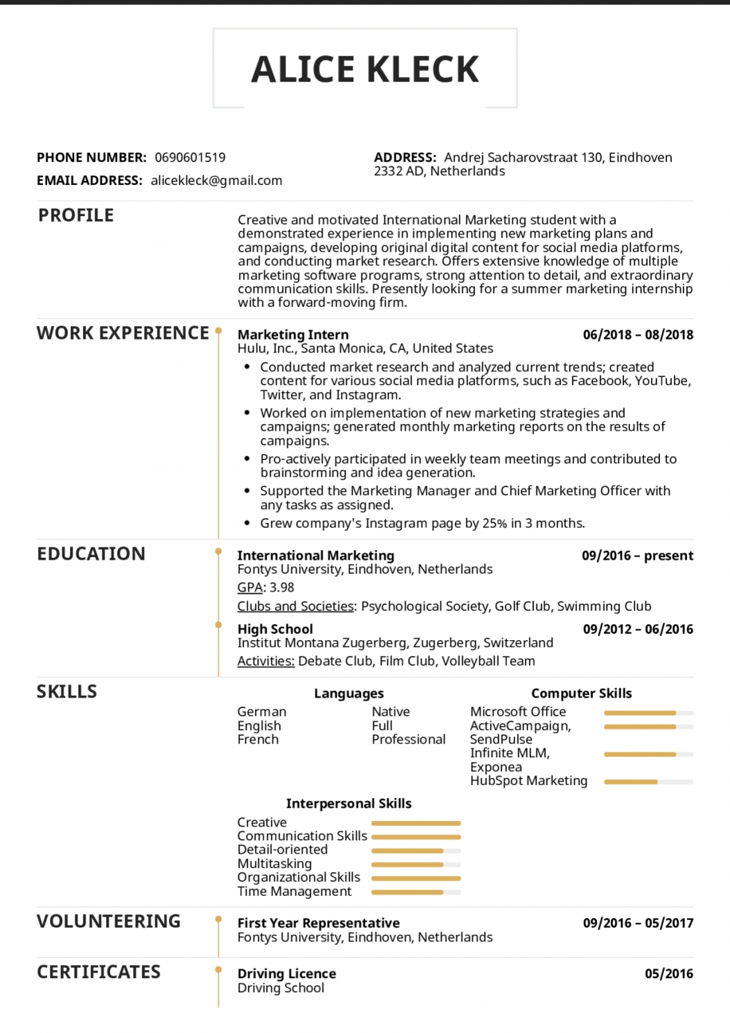 Intern Resume Example