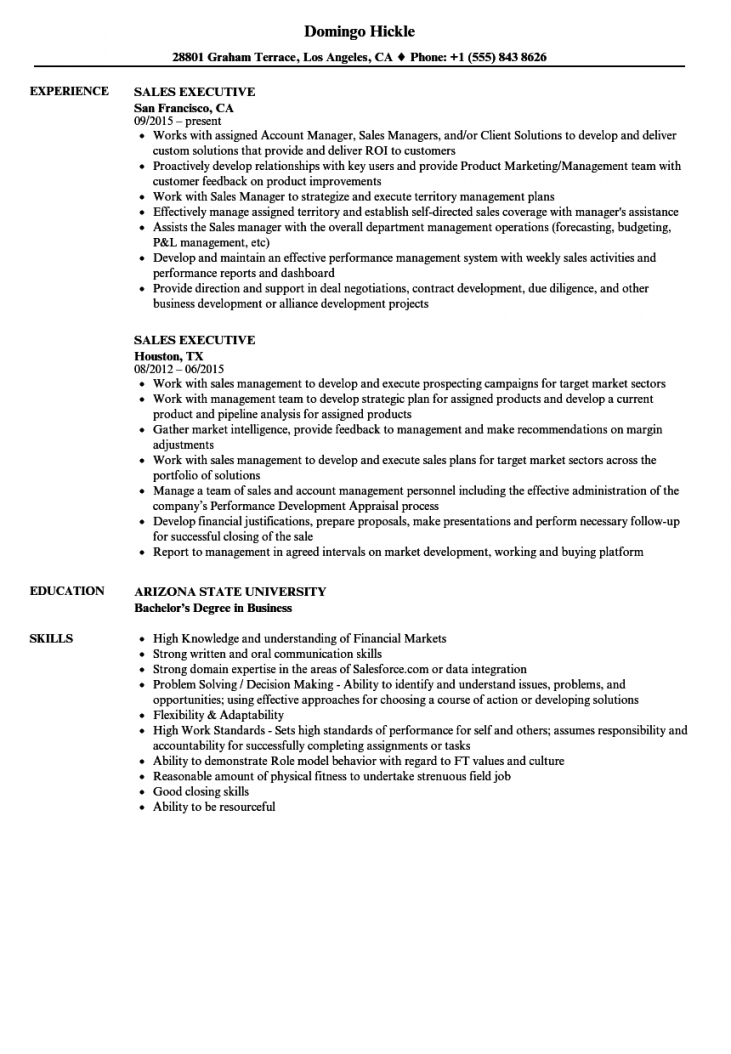 Sales Executive Resume Examples
