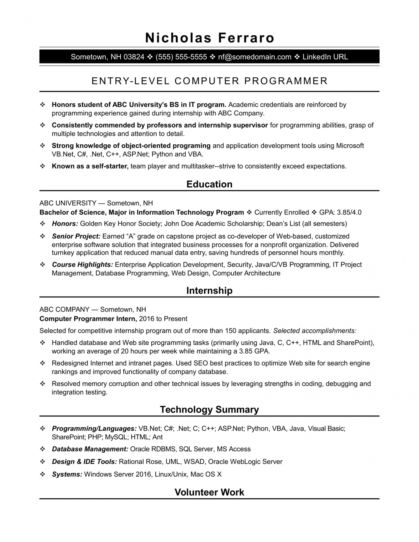 Programmer Resume Examples