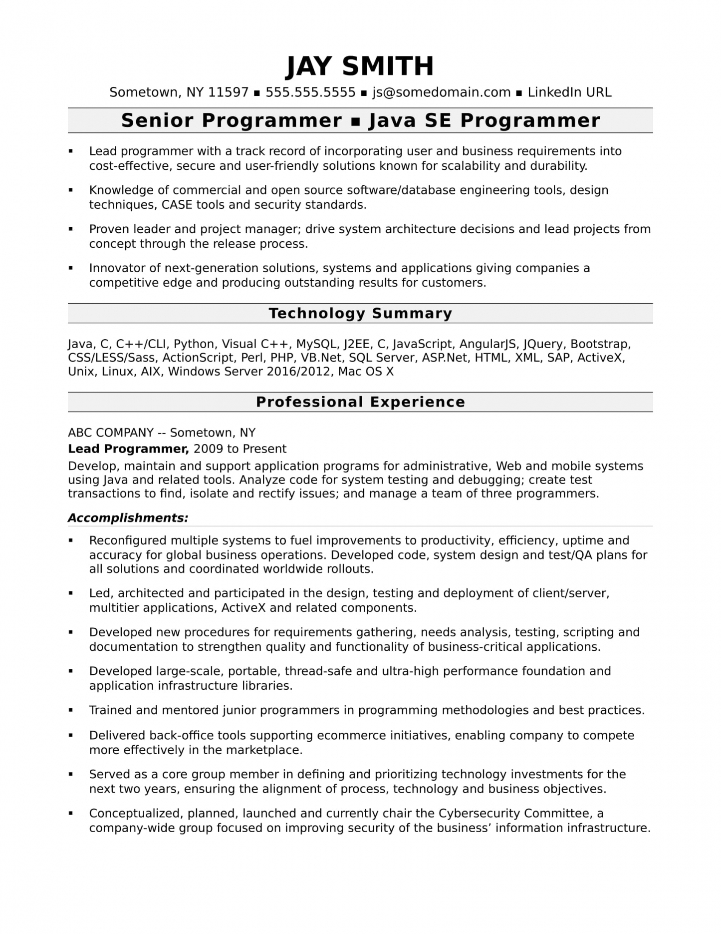 Programmer Resume Example