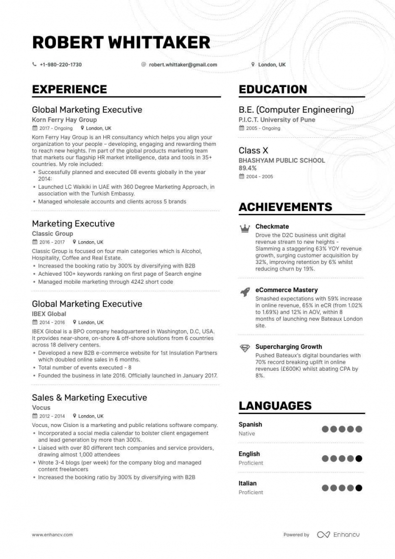 Best Executive Resume Examples