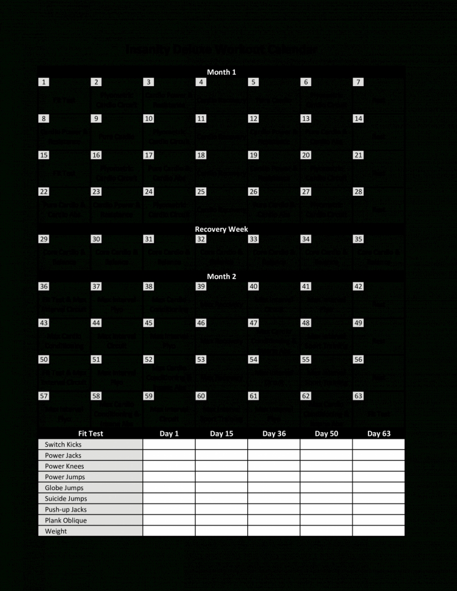 Printable Insanity Calendar 2020