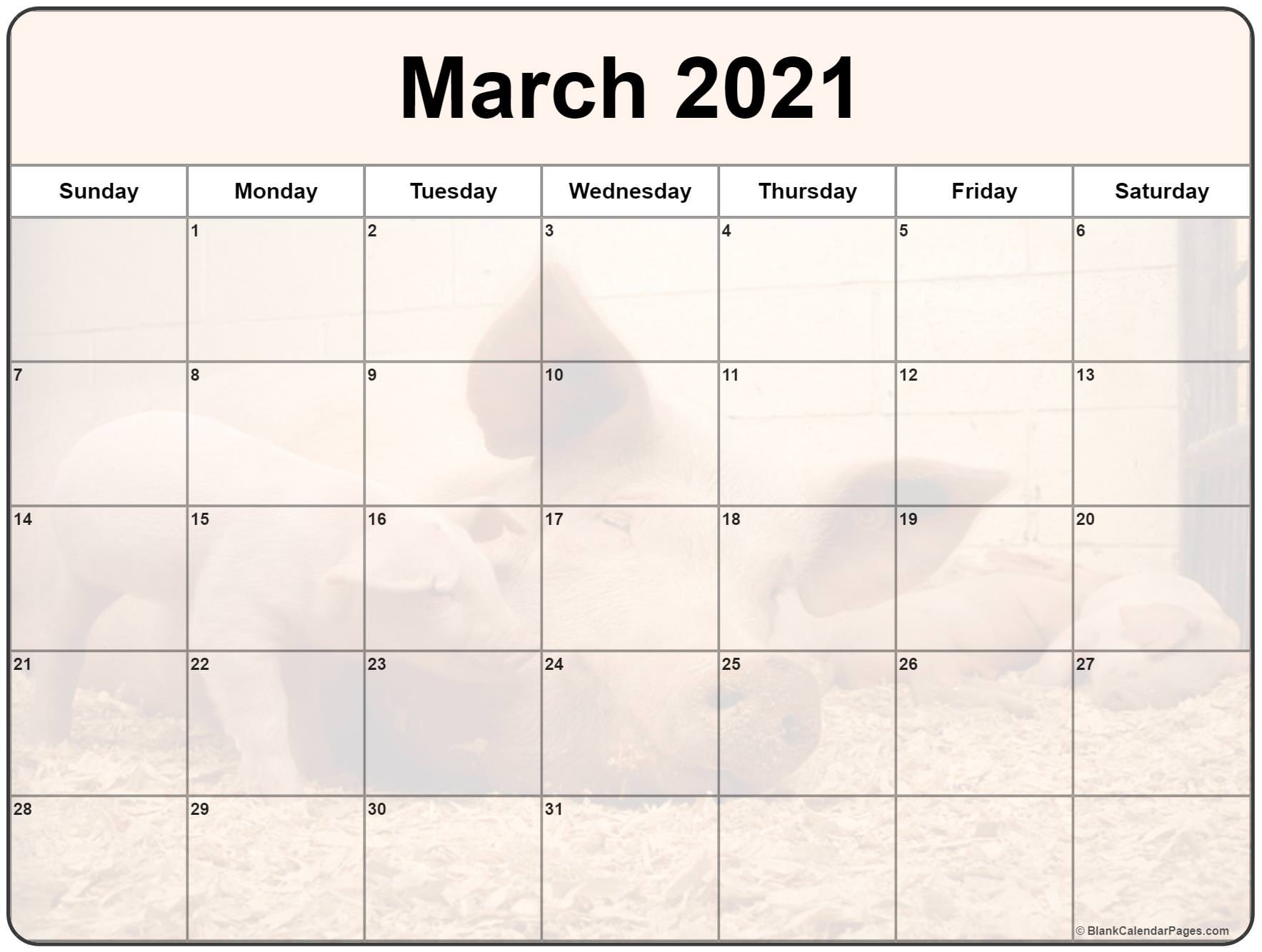 Collection of March 2021 photo calendars with image filters.