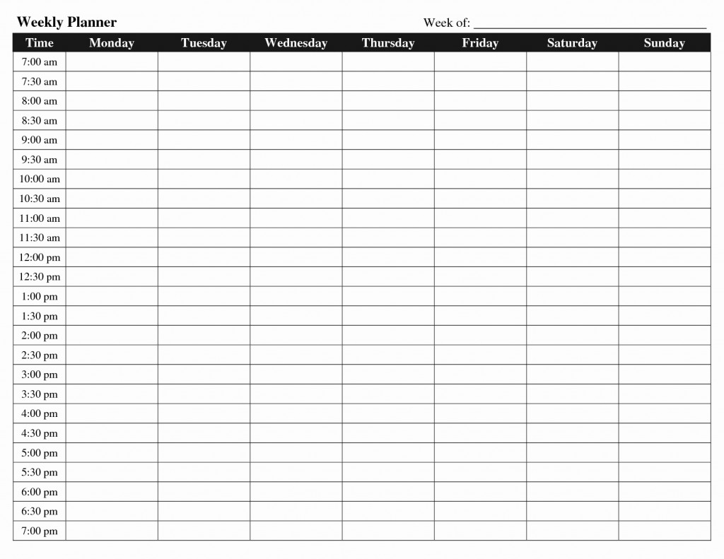 Printable Hour Time Slot Schedule